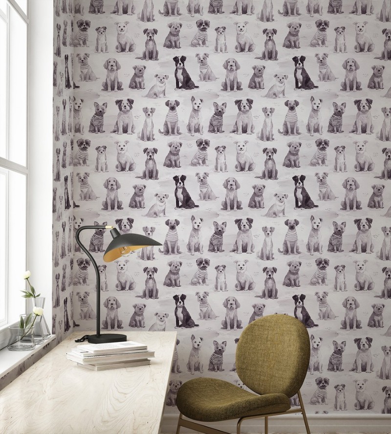 Picture of Fargesammensetning Buster Grey - 1096001-03 - 10841-01